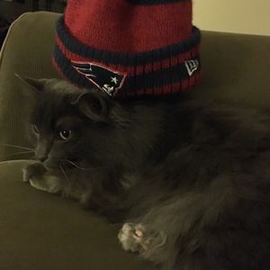 Meet your Posher, Jodi